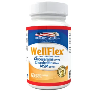 WellFlex Glucosamine 750mg, Chondroitin 600mg